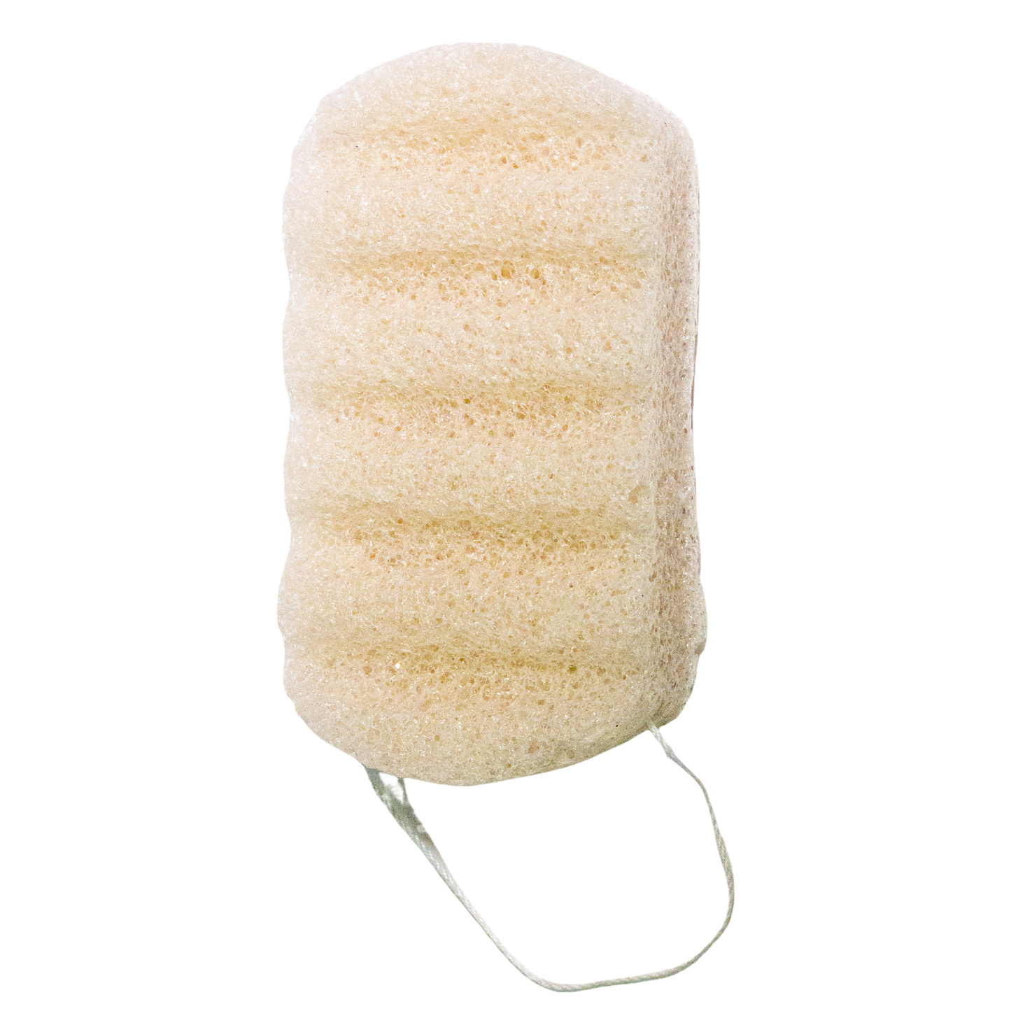 Large Konjac Sponge