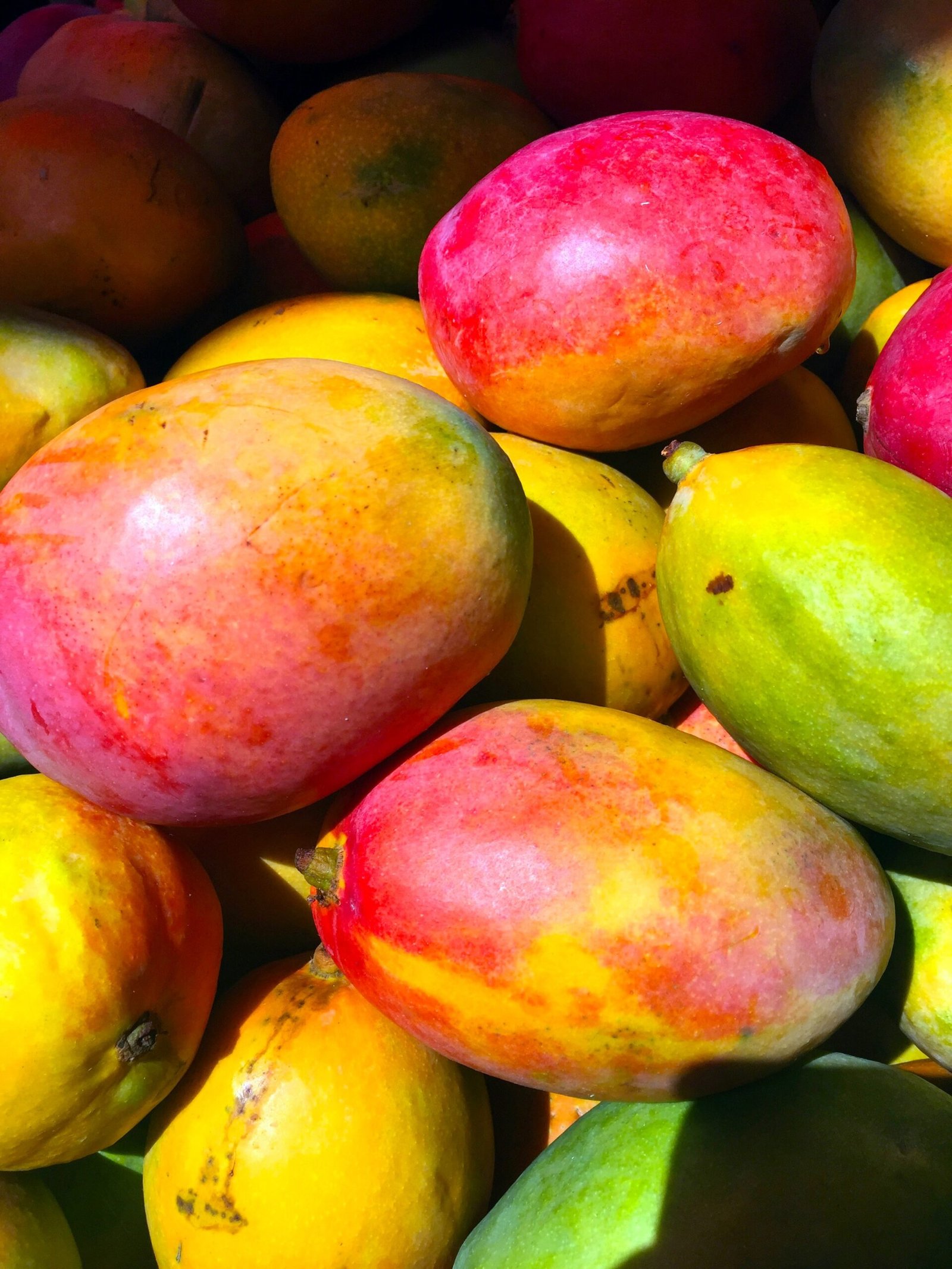 Mango Butter in Hair Care Mango Butter in Hair Care